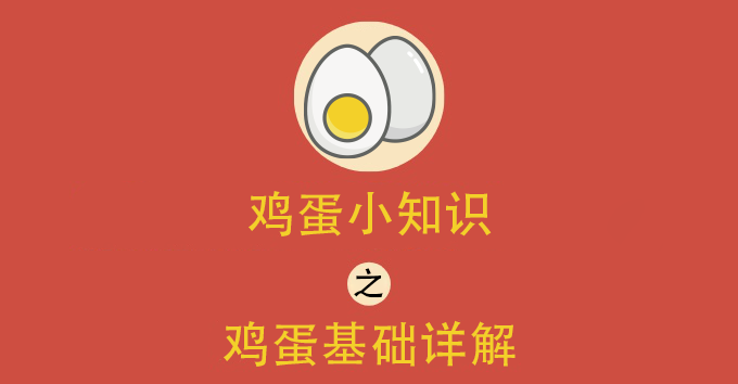 鸡蛋小知识（1） ——鸡蛋基础详解-中信建投期货杭州分公司