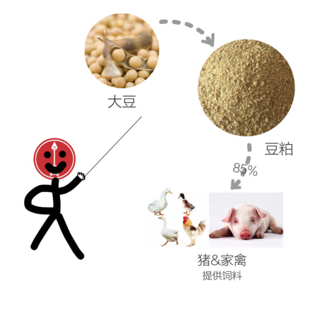 豆粕小知识（一）——豆粕是什么-中信建投期货杭州分公司